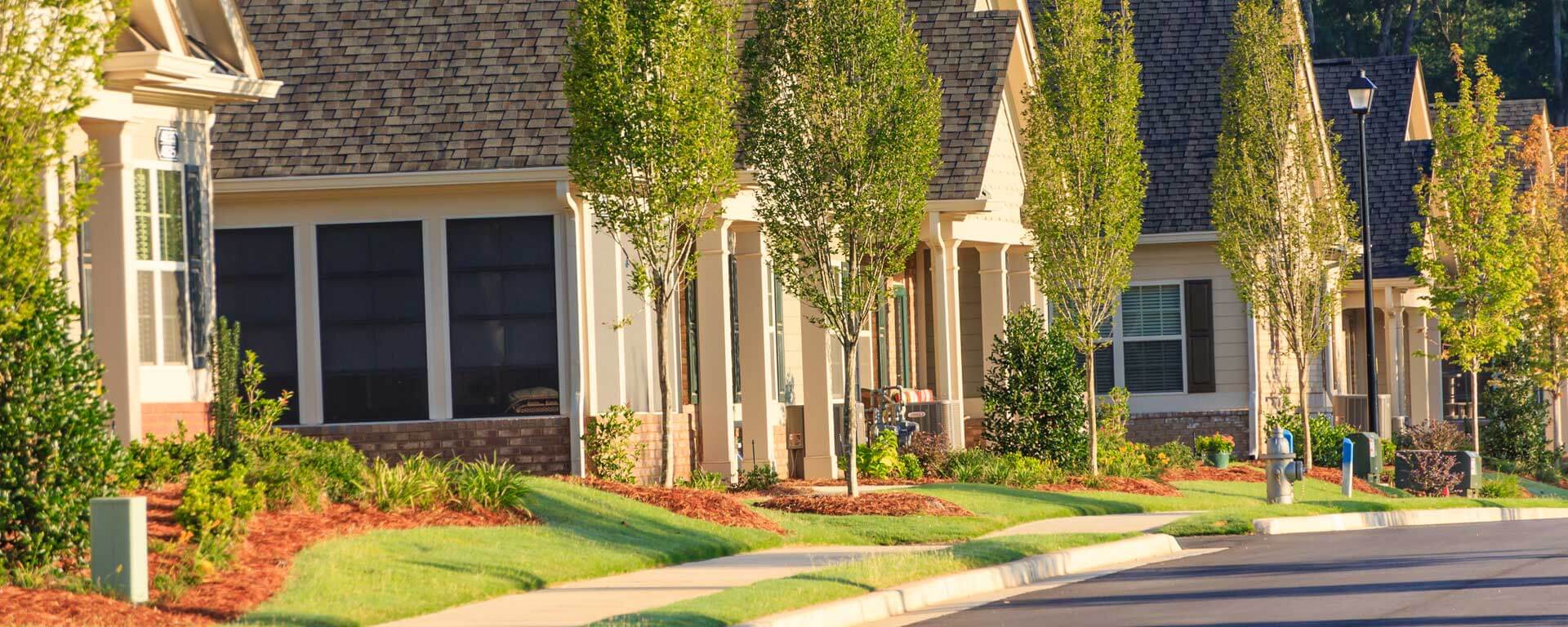 Houses in neighborhood